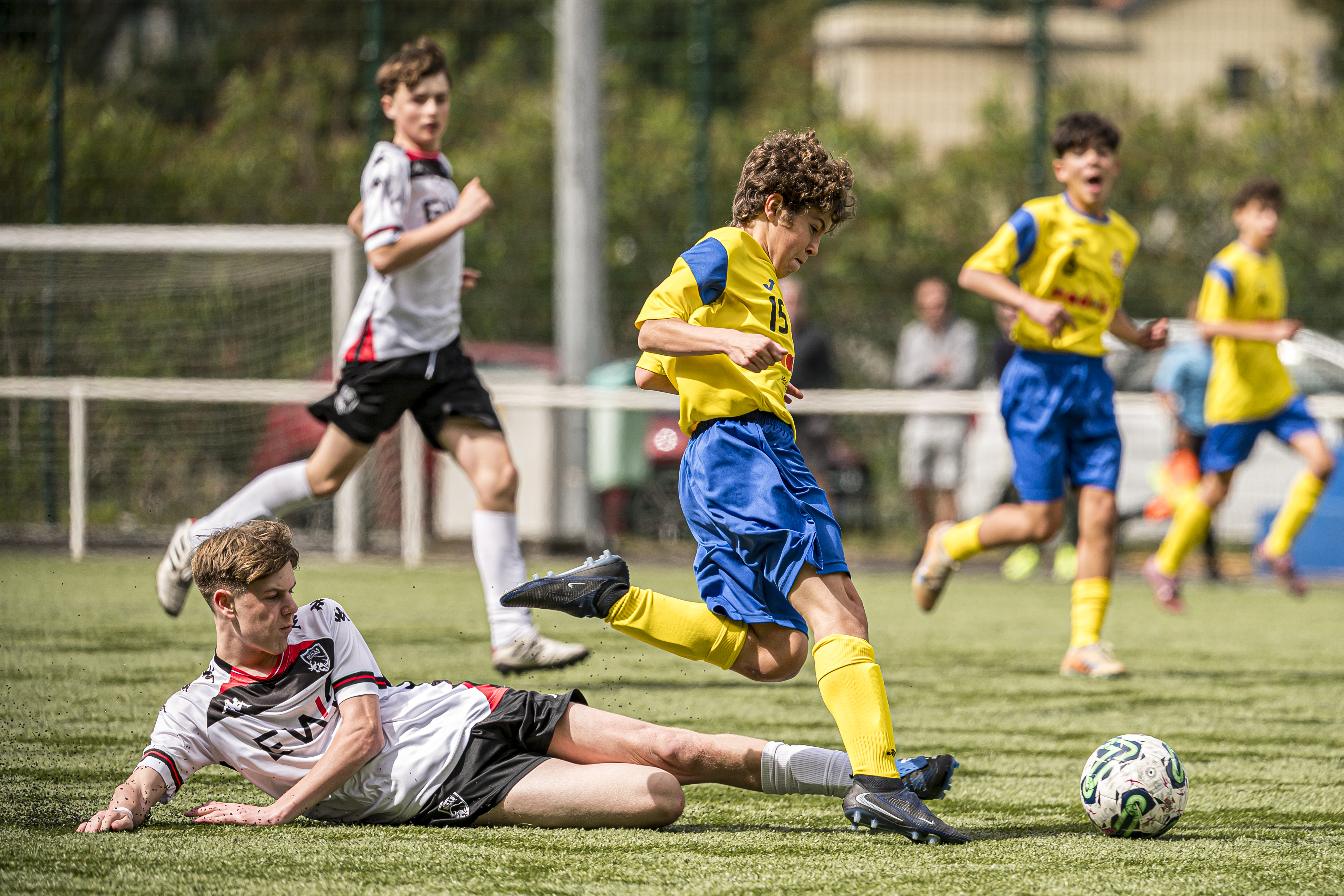 XIV Madeira Jovem: finalistas apurados